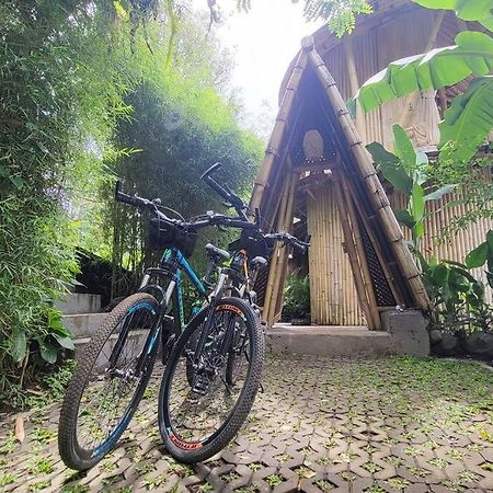 Villa The Nude House Selat Exterior foto
